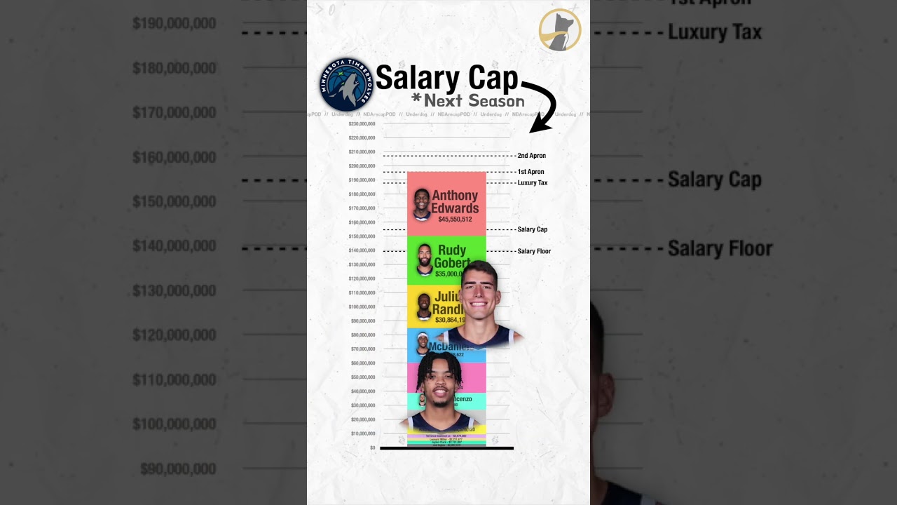 Salary Cap Breakdown - Minnesota Timberwolves