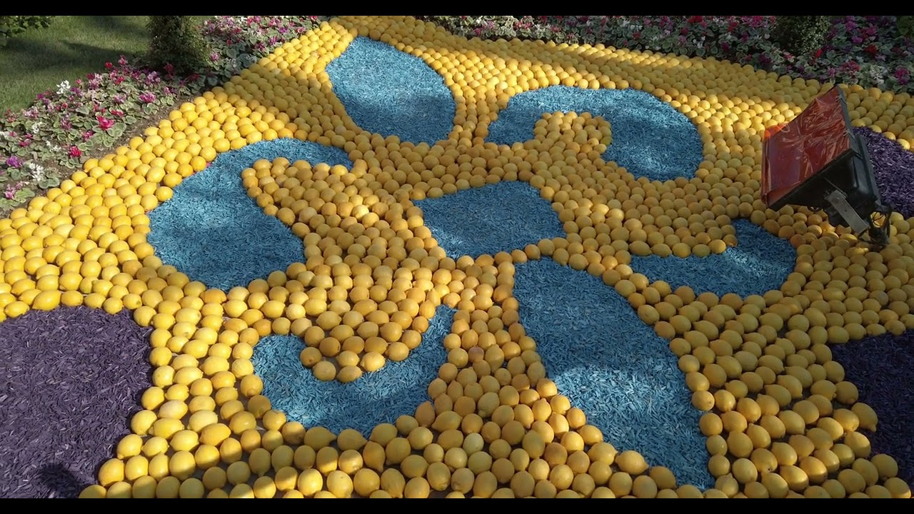 Fête du Citron 2022