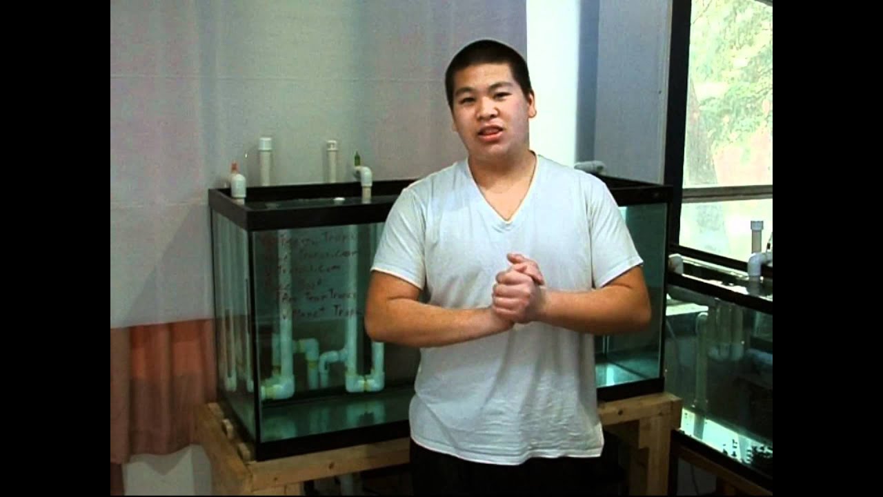 How to Do It Yourself Aquarium Overflow Sump Plumbing