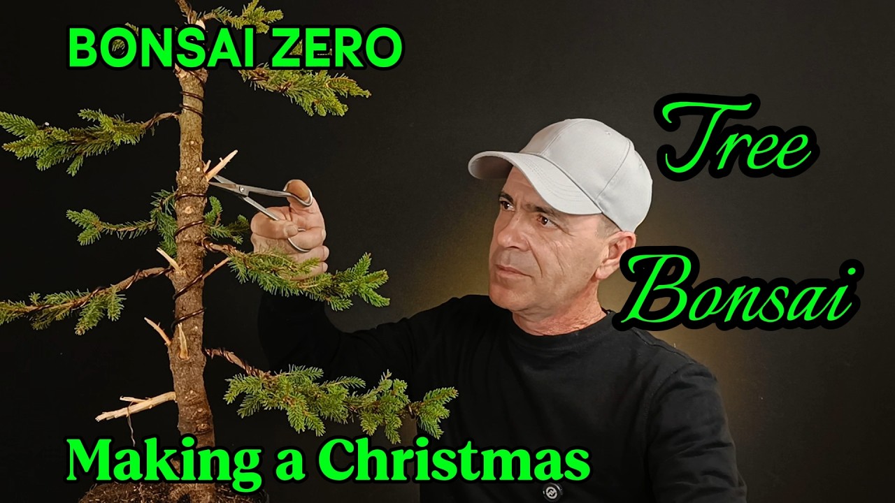 Nu e un brad de Crăciun. E Bonsai Zero