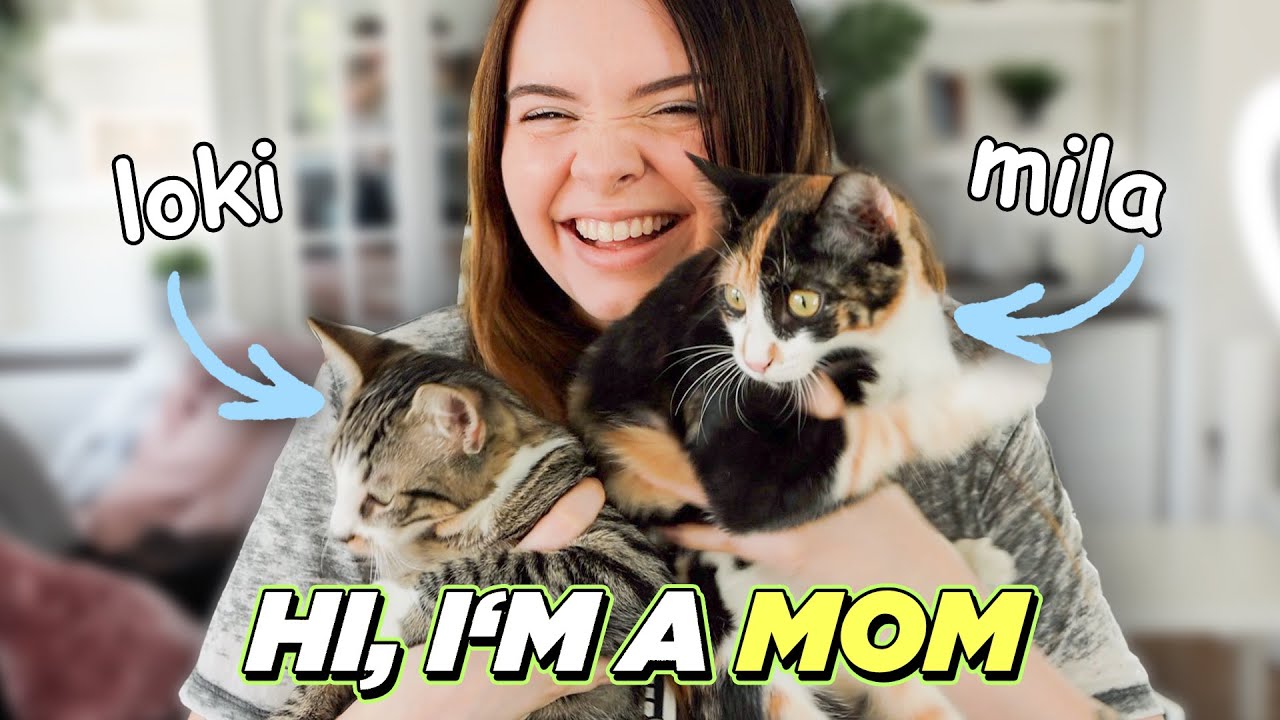 WIR SIND ELTERN 🥰 unsere zwei neuen Familienmitglieder 🐱🐱