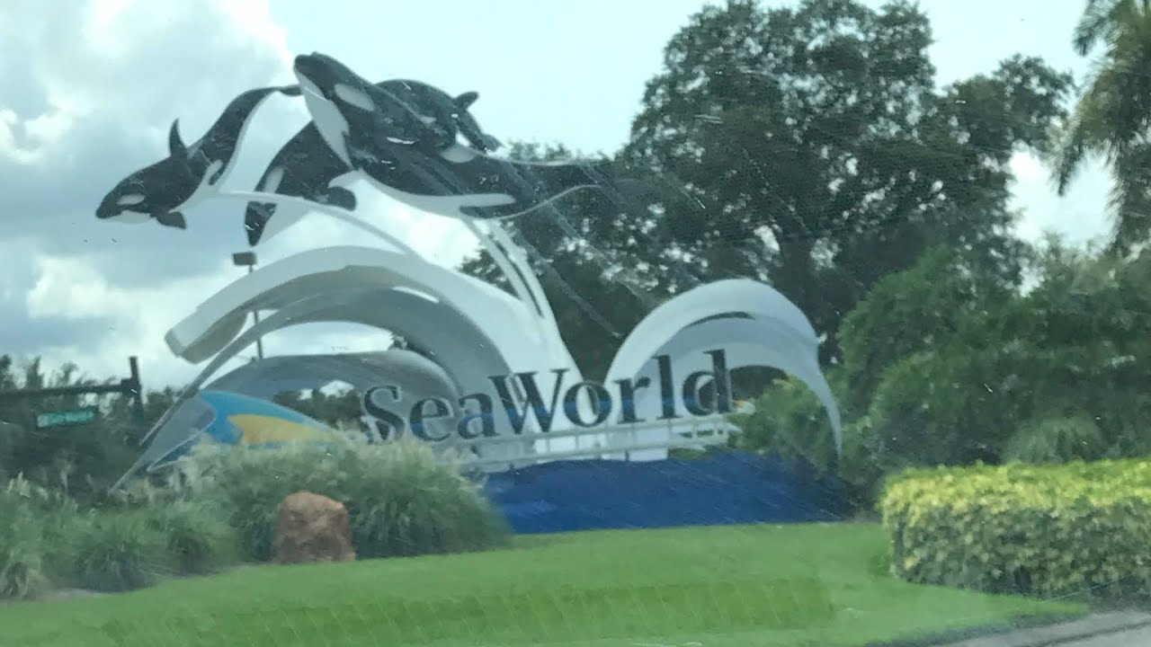 A day at SeaWorld Orlando Florida July 2021