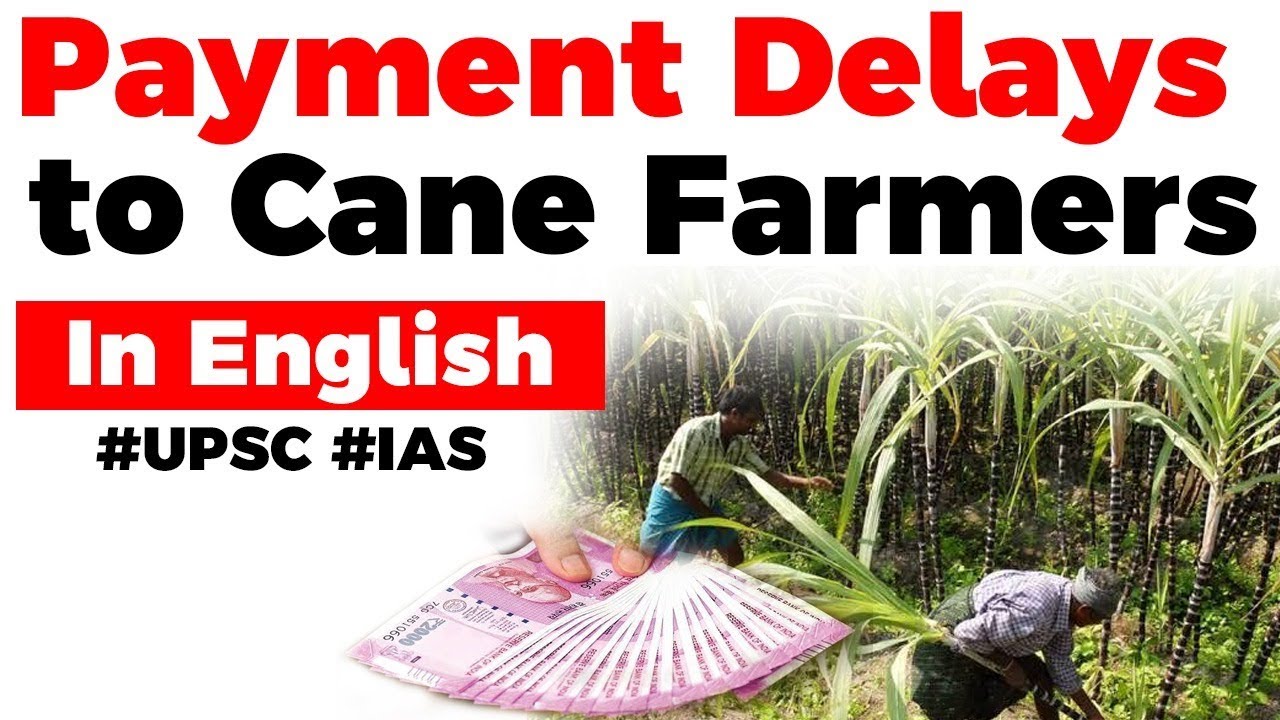 Payment Delays to Sugarcane Farmers, How it is a major survival challenge for cane farmers? #UPSC