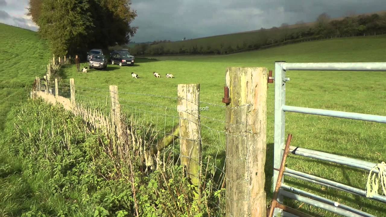 Pheasant and Partridge Shooting in Dorset November 2014