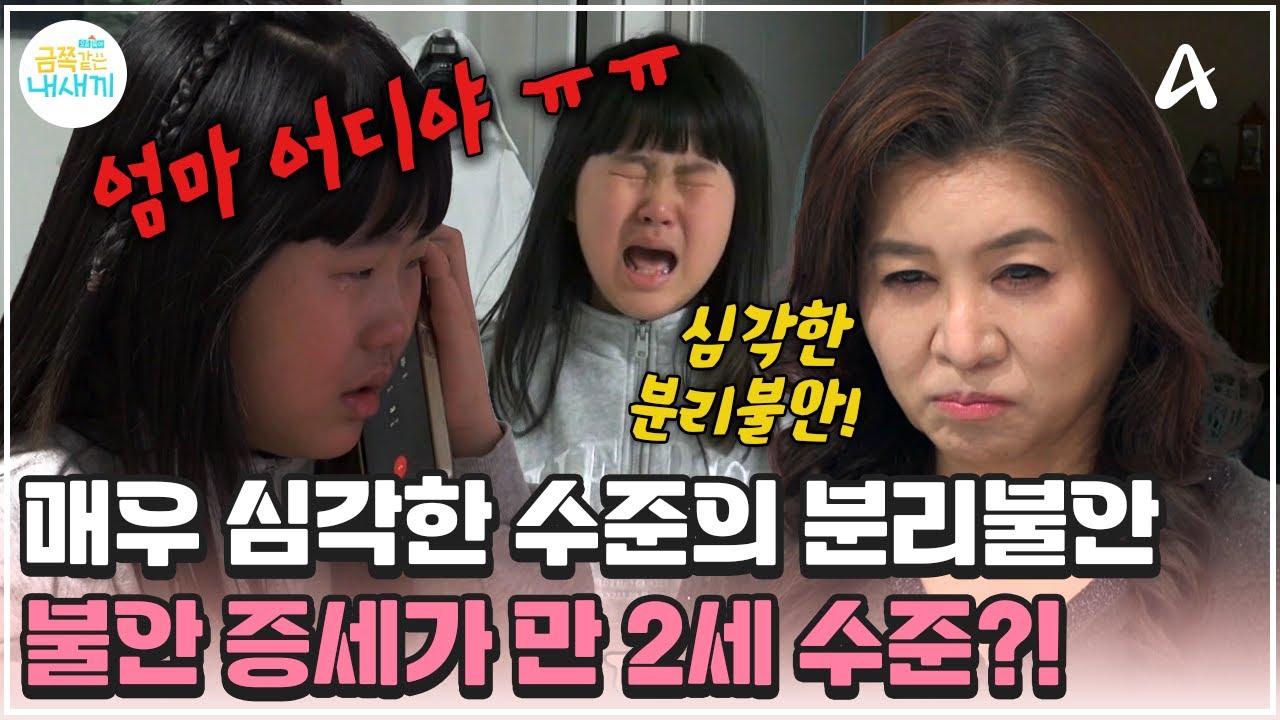 [#금쪽이] 초3이지만 고작 두 돌 수준... 배우 조지환 부부의 금쪽이 딸 | 금쪽같은 내새끼 266회