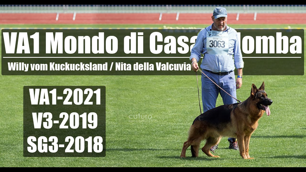 Conozca a Mondo di Casa Palomba