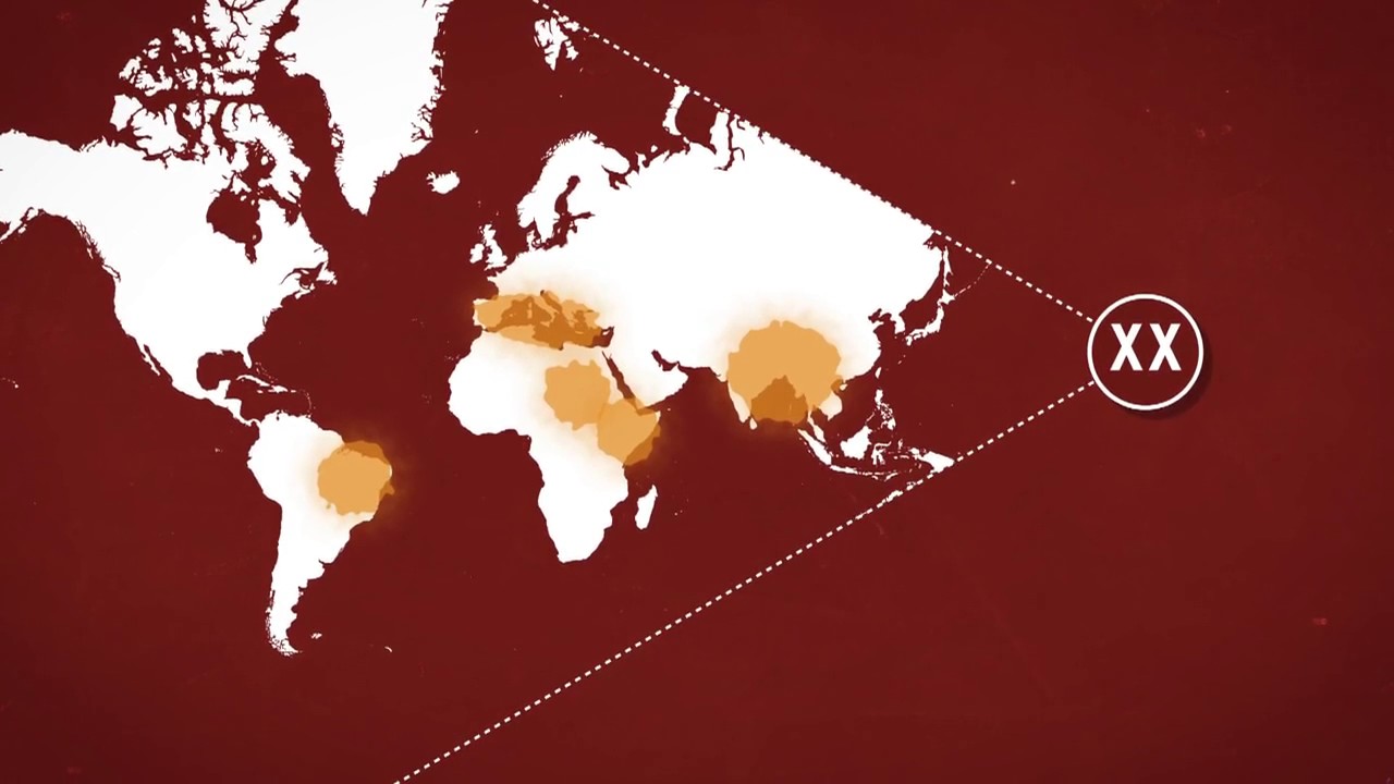 KILLER DISEASES | A History of Leishmaniasis