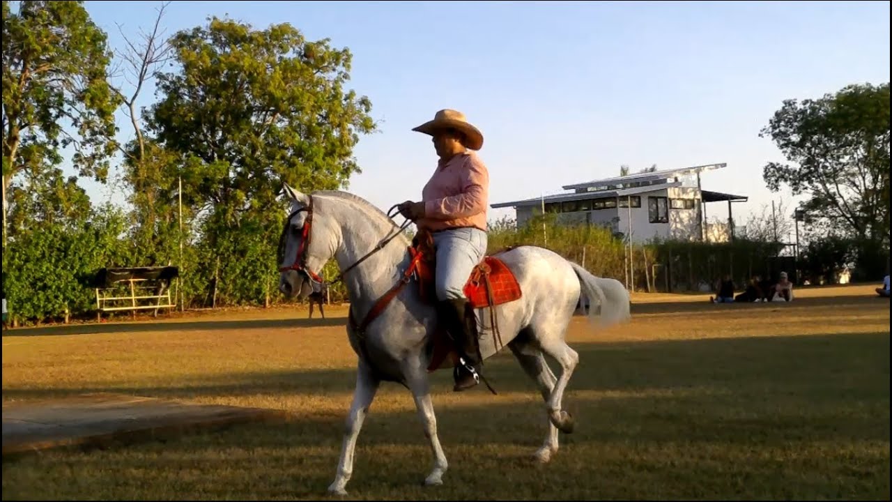 TV CABALLOS SANTO DOMINGO DE SÁMARA 2024