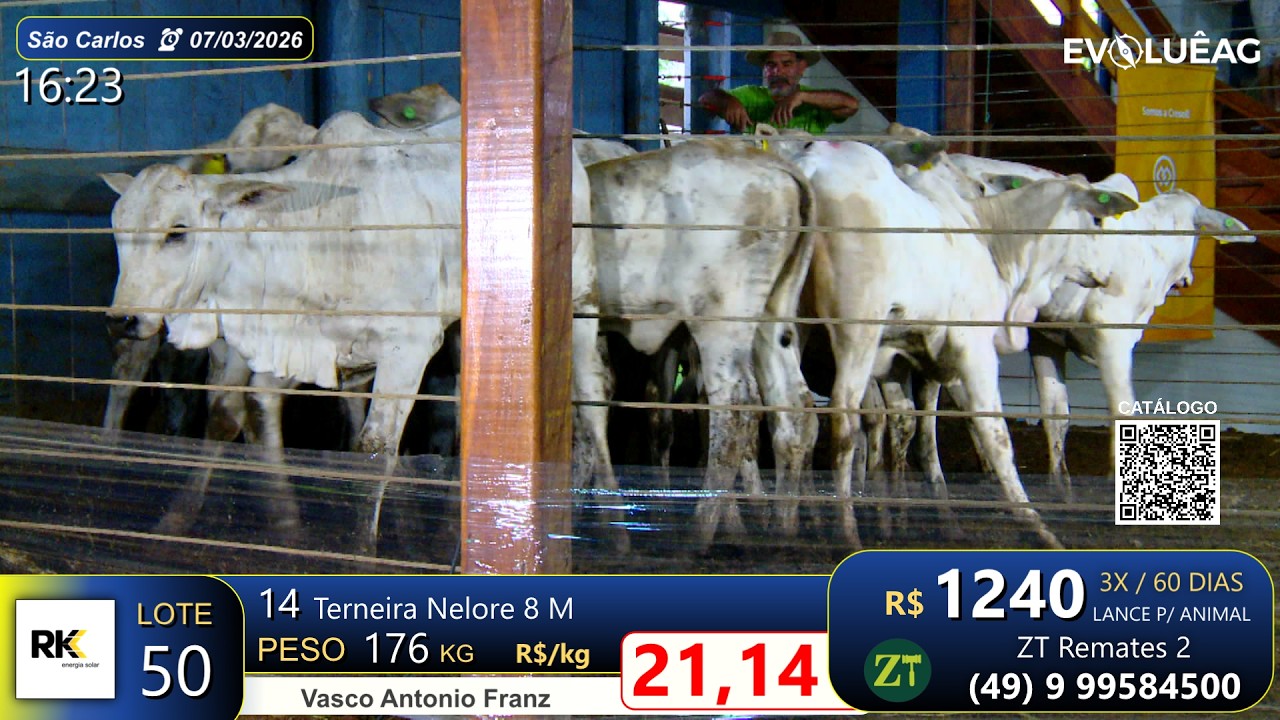 Lote 50 - São Carlos 07/03/26 | Vasco Antonio Franz