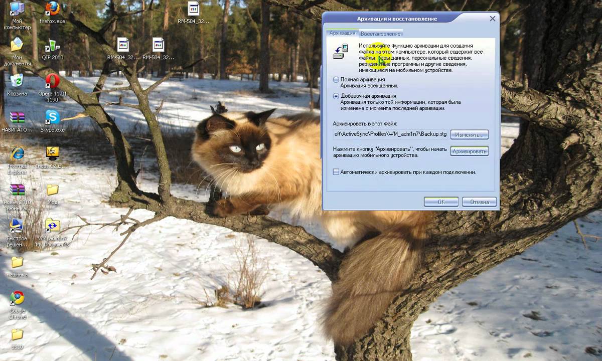Как сделать файл Backup.stg в навигаторе через active Synce