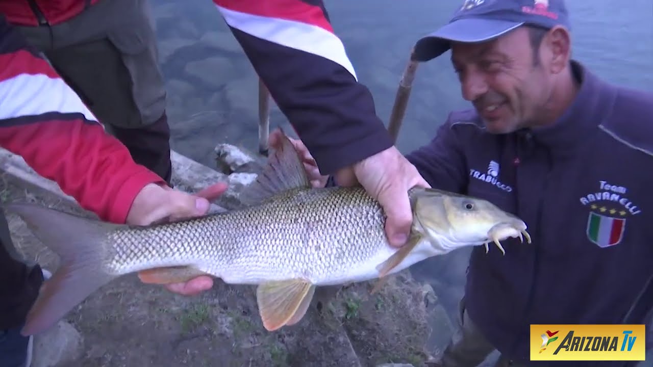 MONDO PESCA - APERTURA TROTA 2021 - TUTORIAL  PESCA A DRAGARE - FIUME ADDA  LODI -  #sportfishing