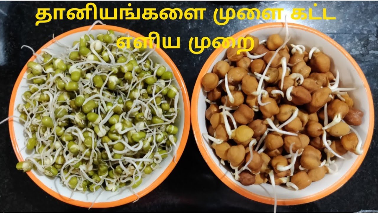 தானியங்களை முளை கட்ட மிக எளிய முறை | How to make sprouts simple Easy methods in Tamil
