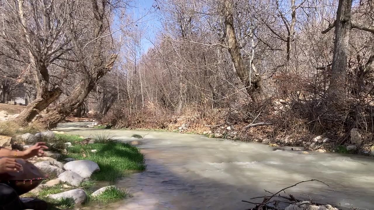 15 Minutes of Handpan by the River | Real Nature Sounds & Deep Relaxation