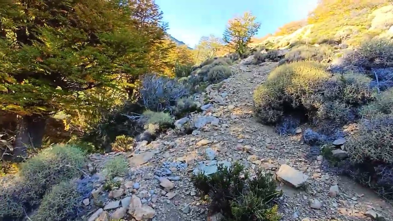 La mejor estación por sus #colores es el #otoño en la #patagonia #argentina #trekking en #solitario 