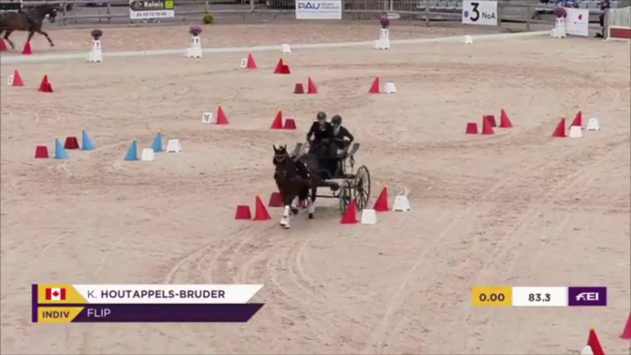 Pau Cones 2020 - Kelly Houtappels Bruder