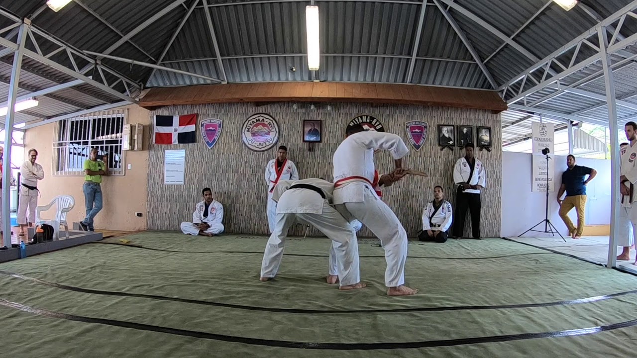 Goshin Jutsu - Miyama Ryu Ju Jutsu