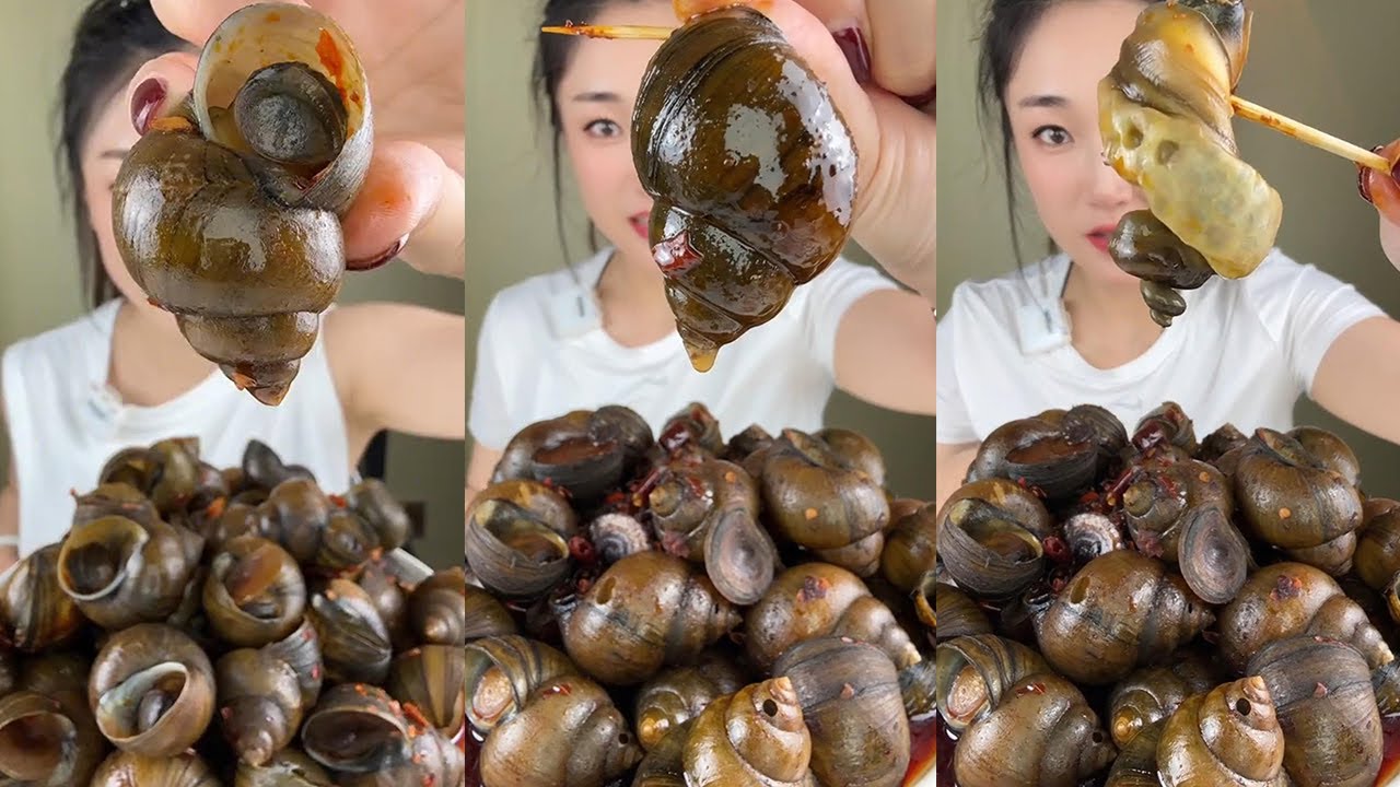【Yummy】Eating show：river snail🐚🐚#mukbang#asmr