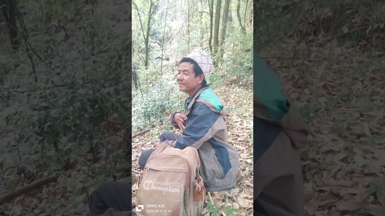 Jangal bharman ghumdai