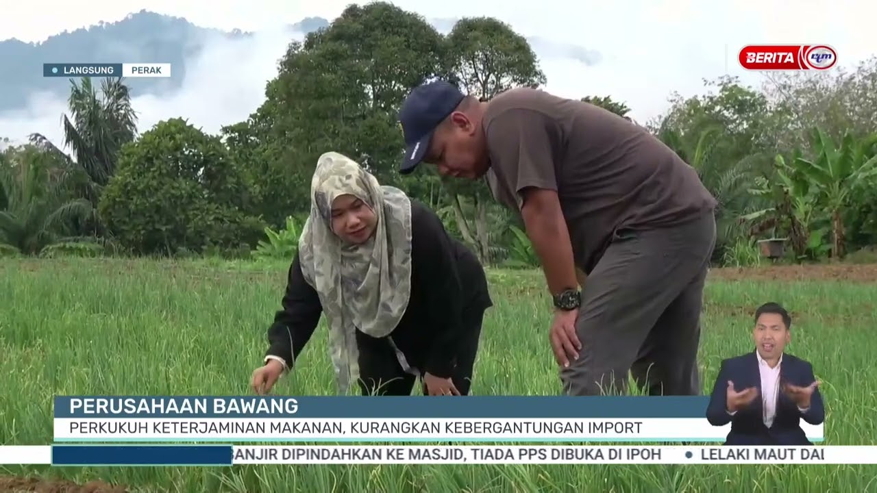 Perusahaan Bawang Jabatan Pertanian
