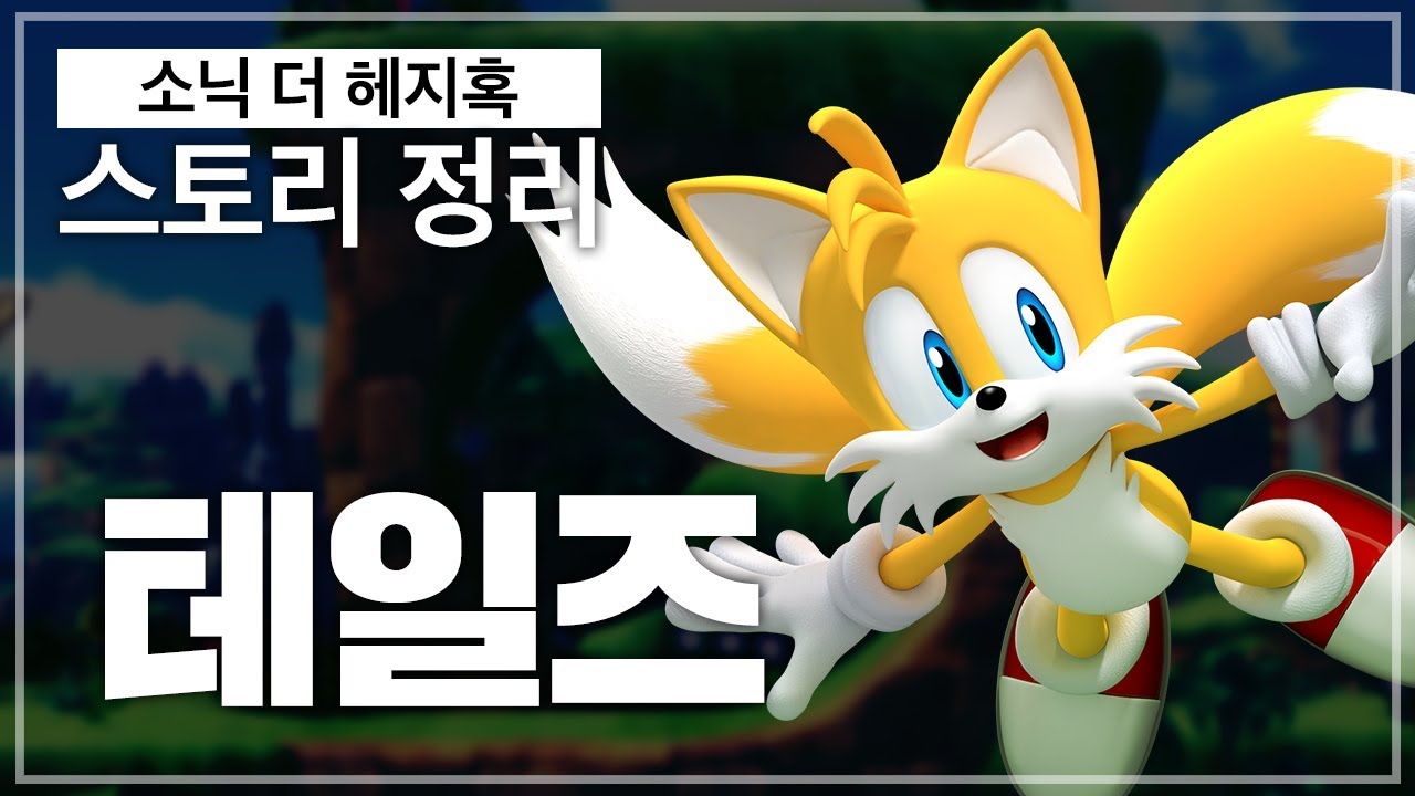 소닉의 영원한 파트너! 테일즈!! / 소닉 스토리를 알아보자! #1 [영래기]