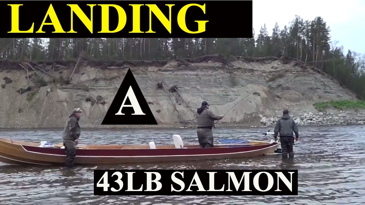 Monster 43lb Salmon Caught by Andy Majerus in Norway's Famous Alta River