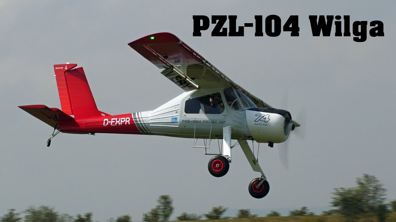PZL-104 Wilga BADAN | giant scale RC airplane | 4K | Holesov 2022