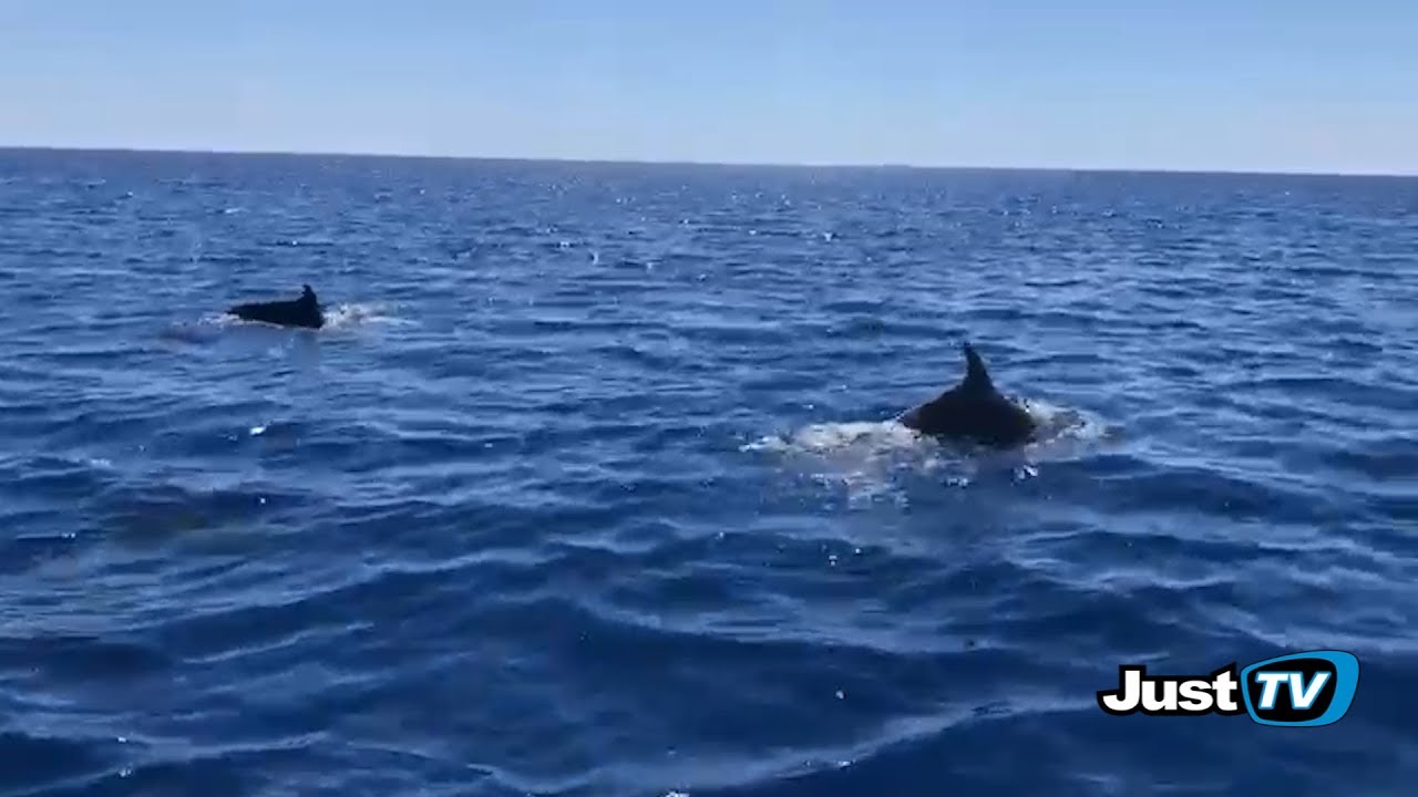 Marina di Ginosa: