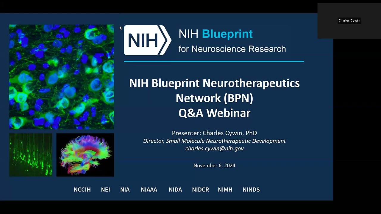 BPN for Small Molecules Q&A Webinar 11-6-2024