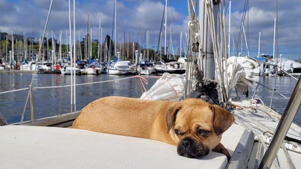 9 day solo sailing adventure, 28 hour crossing the Georgia Straight, Vancouver to Victoria.