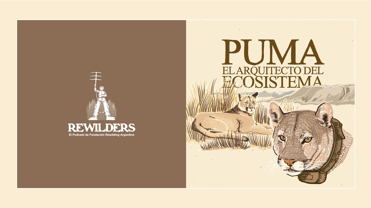 REWILDERS | Ep. 05 · Puma