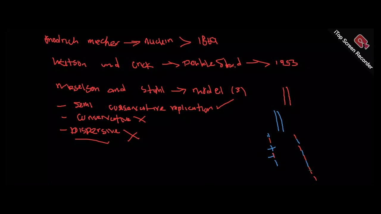 DNA REPLICATION 