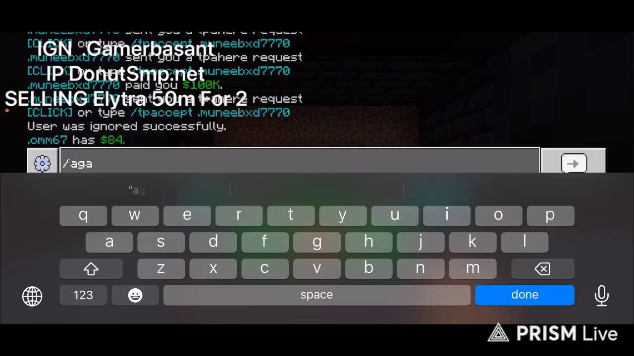 Donut Smp Live Elytra Giveaway Rating Base Trading For Elytra 50+ Elytra I Have