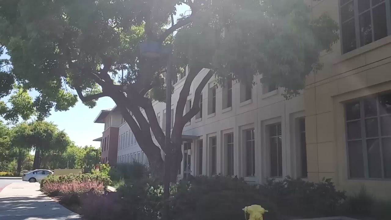 Driving to Oracle Santa Clara campus