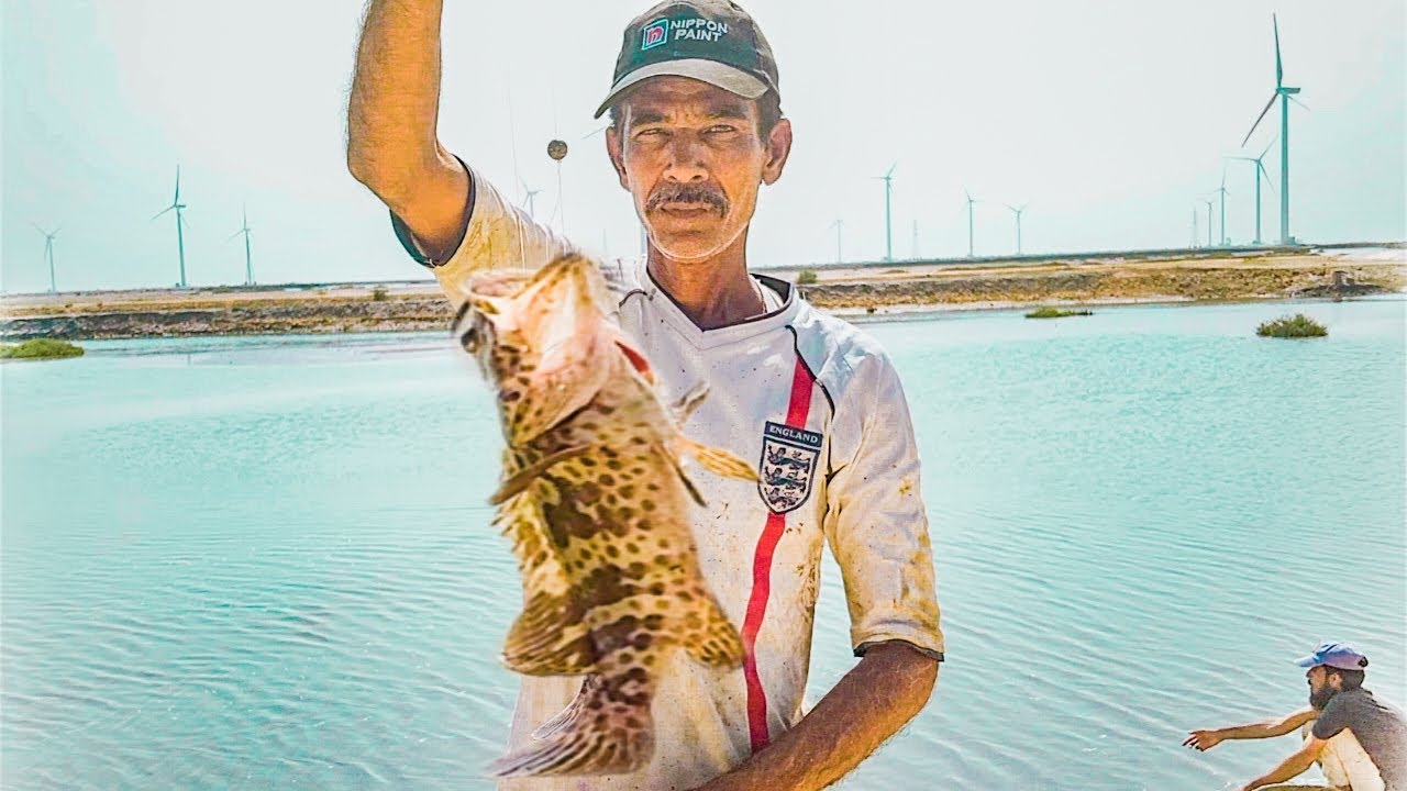 karachi fishing || Fishing in karachi || Grouper || Harjina fishing point || Fishing