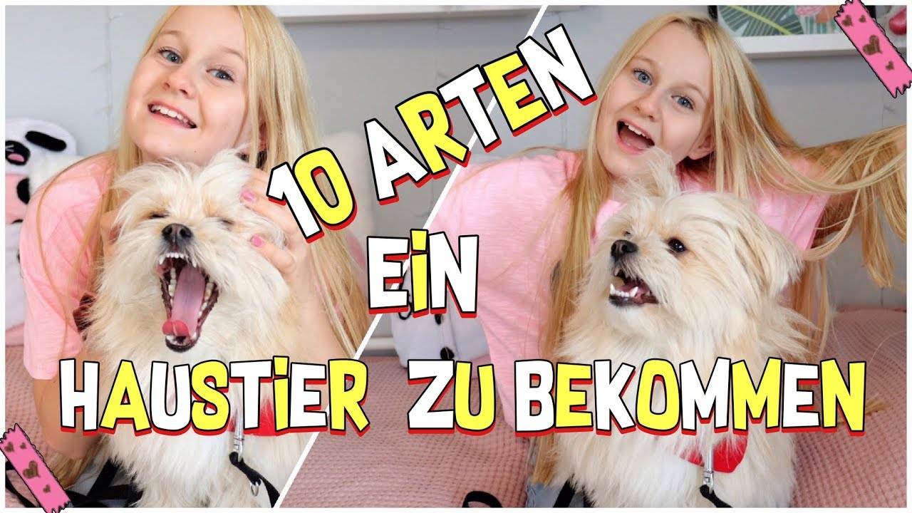 10 ARTEN SEINE ELTERN ZU EINEM HAUSTIER ZU ÜBERREDEN ! MaVie Noelle Family