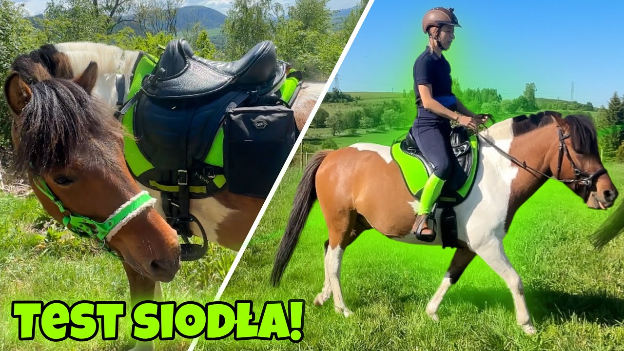 NOWE SIODŁO RAJDOWE DLA WILBUSIA!
