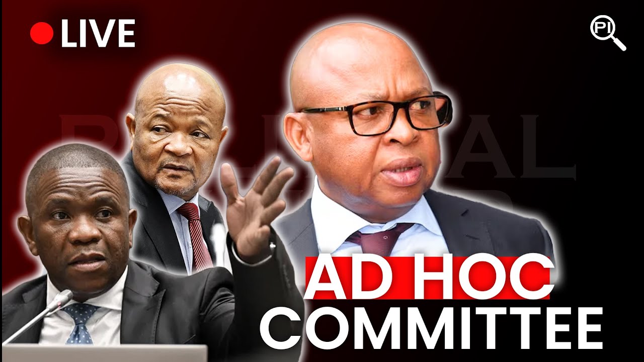 Parliament Ad Hoc Committee | Deputy Police Minister Cassel Mathale