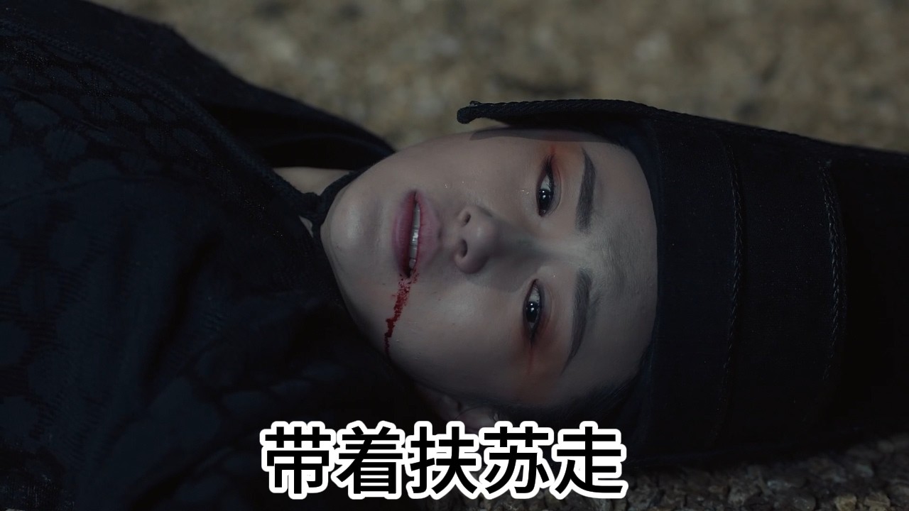 嫪毐叛軍血洗章华宫只为追杀大秦唯一的繼承人公子扶苏！從宮女到宗室全員戰死，樊於期抱著嬰兒在血泊中絕望突圍！