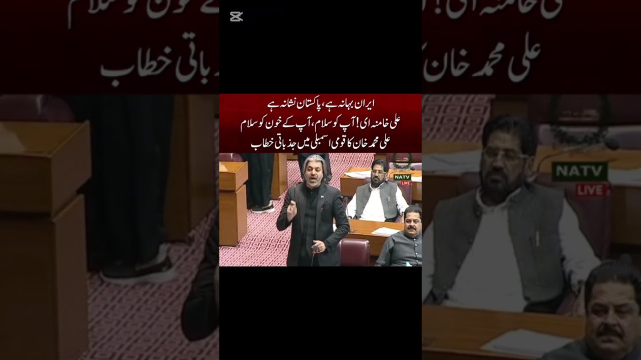 علی محمد خان کا اسمبلی میں شاندار تقریر ماشاءاللہ /Imran Khan official