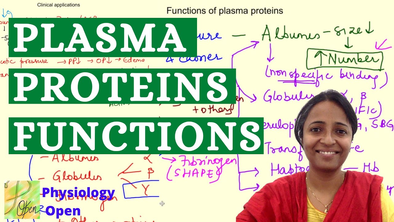 Plasma proteins , functions and clinical applications | Blood physiology mbbs 1st year lecture