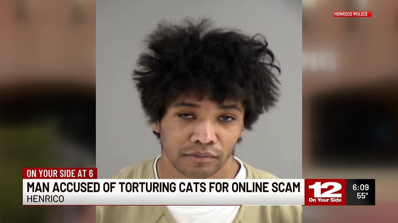 Man accused of torturing cats for online scam