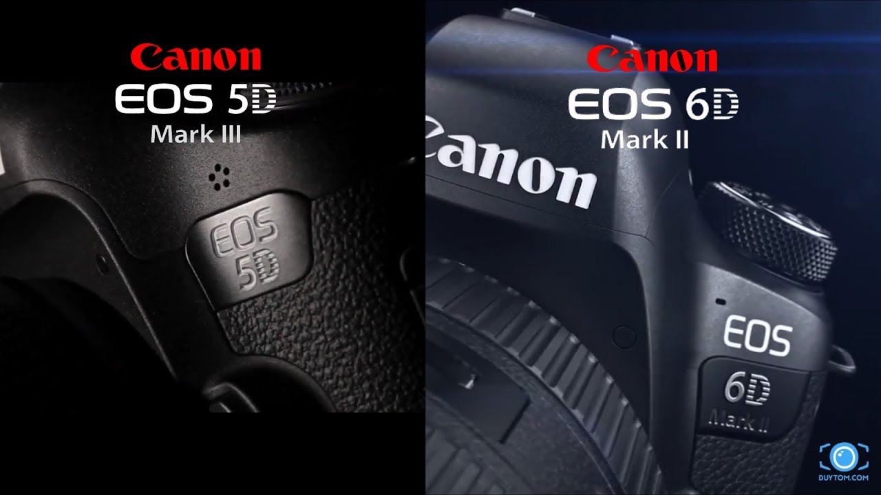 So sánh Canon 6D Mark II và 5D Mark III - duytom.com