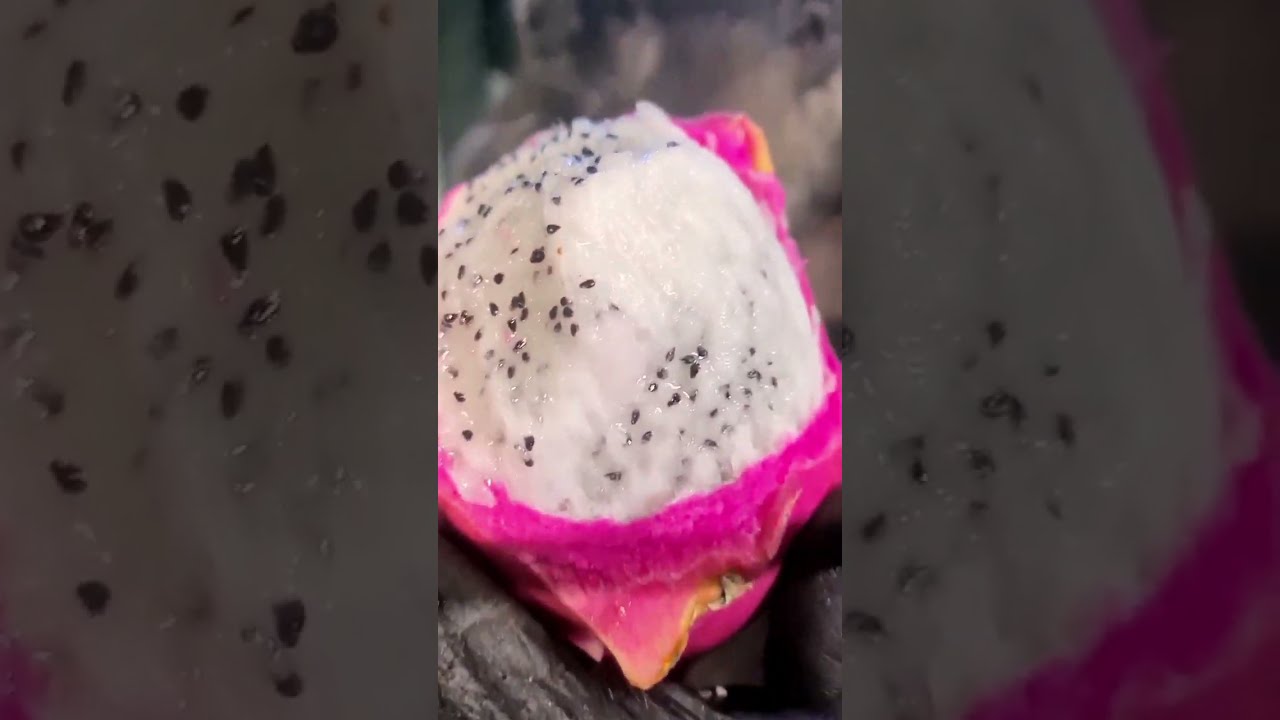 Gorilla Eating Up Close Compilation!