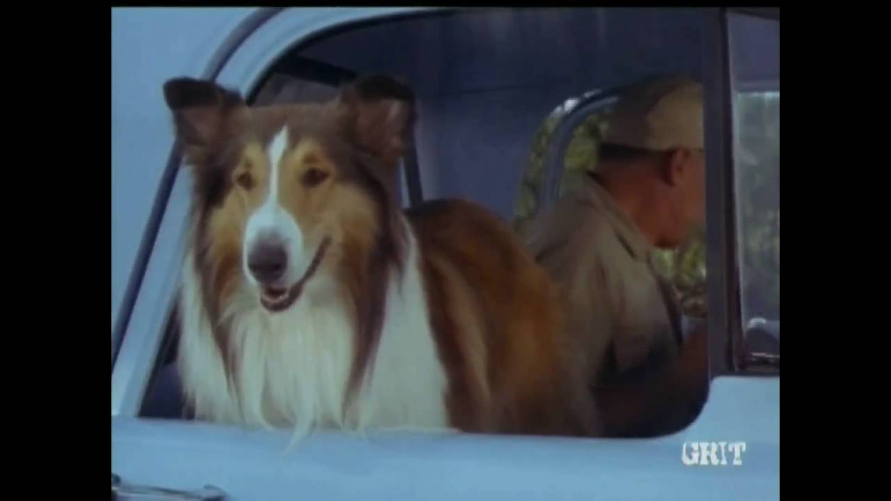 Lassie - Episode #470 - 