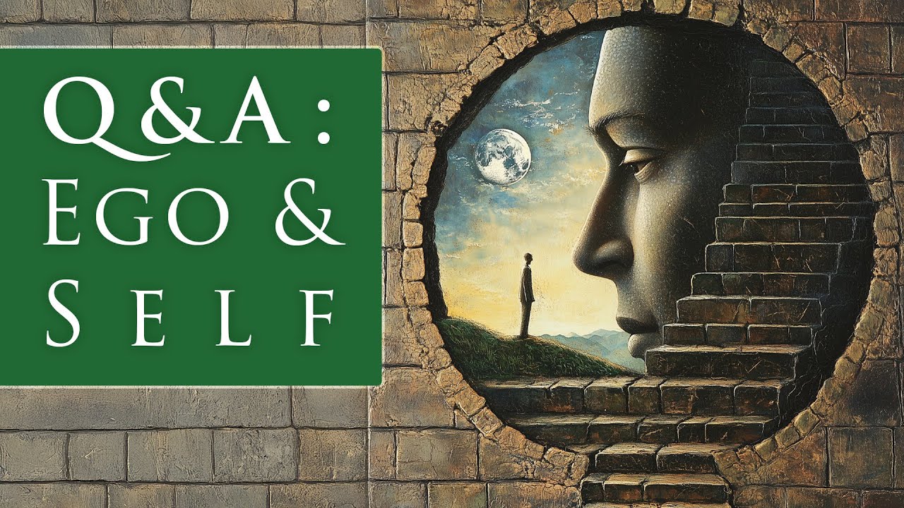 [SUBSCRIBER BONUS] How are Personality, Ego, Psyche, and Self Related?