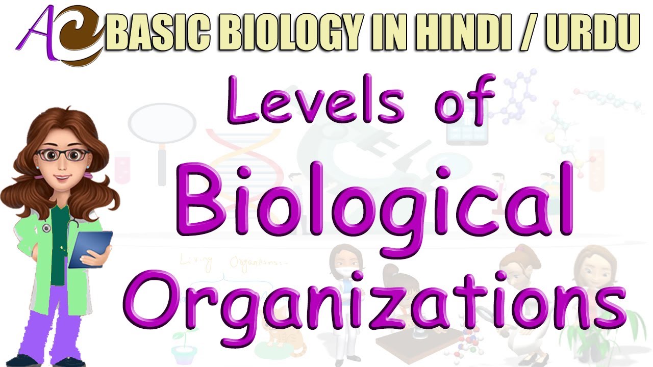 Levels of Biological Organizations in Hindi / Urdu | Basic Biology for Beginners