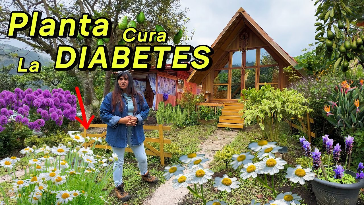 Sus PLANTAS CURAN todo tipo de ENFERMEDADES su farmacia es natural crece en su casa