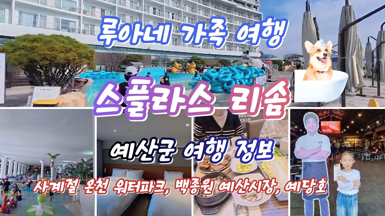 아이와 가기 딱 좋은 예산 가족여행 코스 총정리｜스플라스 리솜♨️·백종원 예산시장·예당호