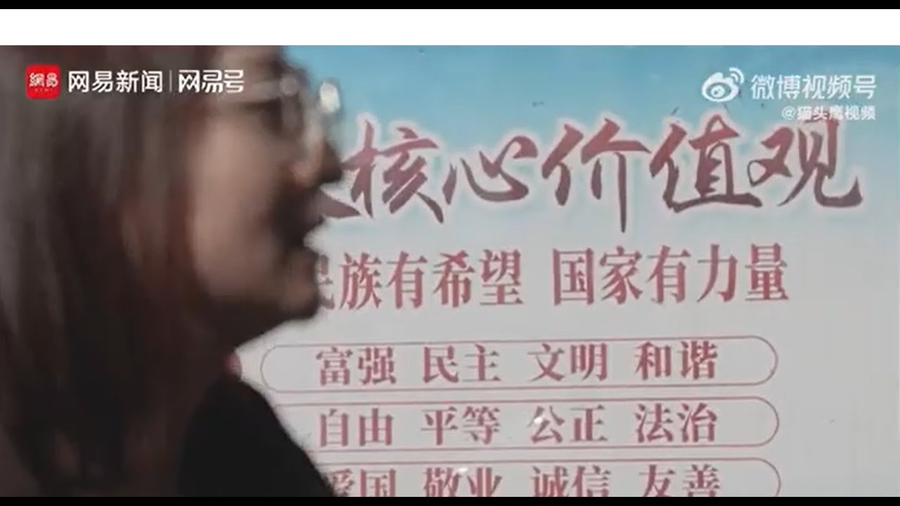 不够年轻的我们 - 网易纪录片    曾年入百万大陆互联网行业夫妻35岁后的失业生活