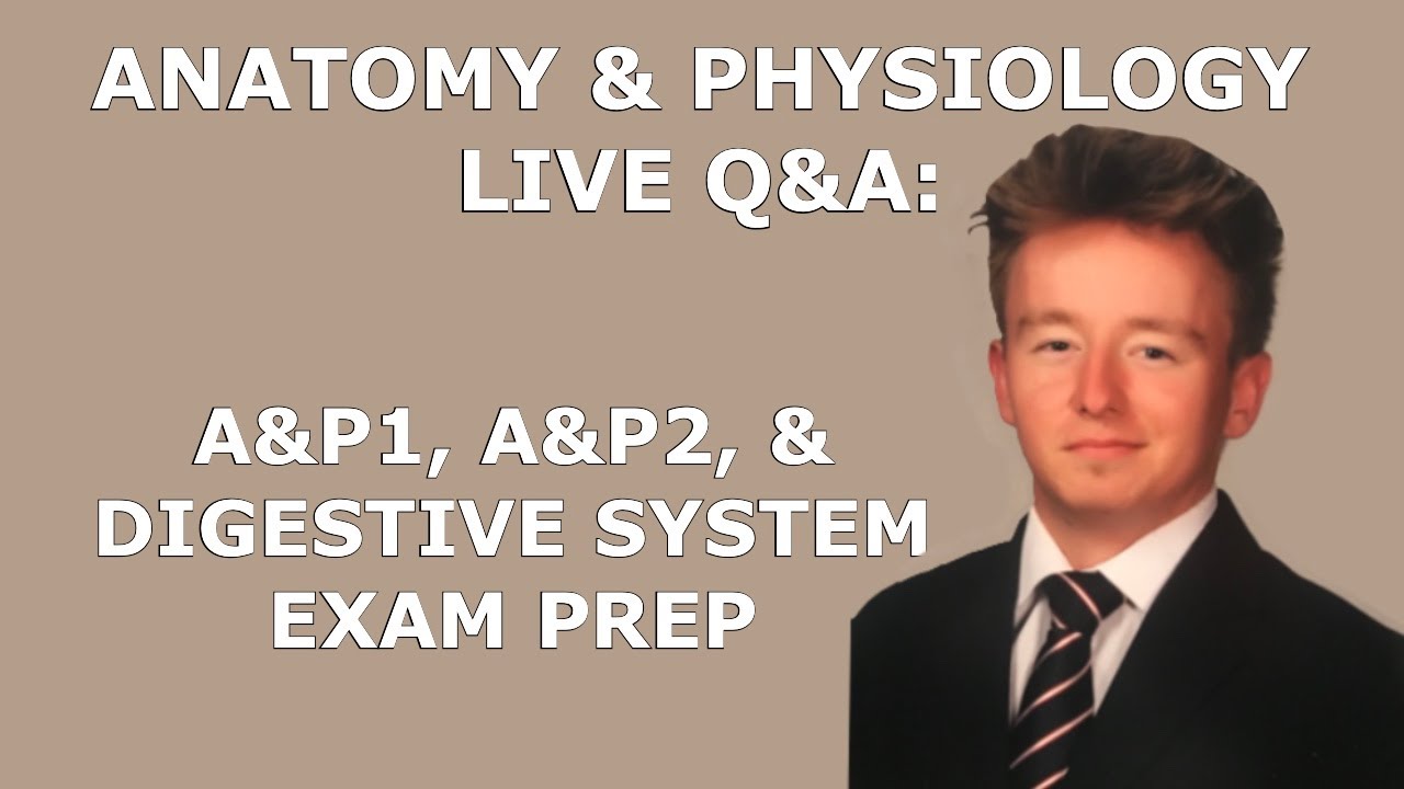 Anatomy & Physiology LIVE Q&A: AP1 + AP2 + Digestive System Exam Prep